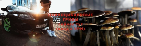 твердый Алзамай