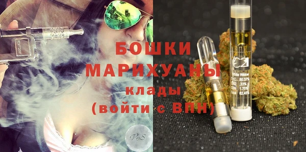 ПСИЛОЦИБИНОВЫЕ ГРИБЫ Алексеевка