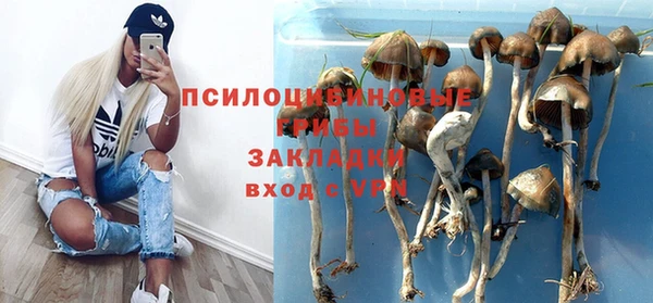 ПСИЛОЦИБИНОВЫЕ ГРИБЫ Алексеевка