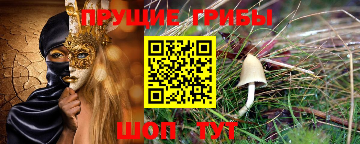 Псилоцибиновые грибы прущие грибы Тара