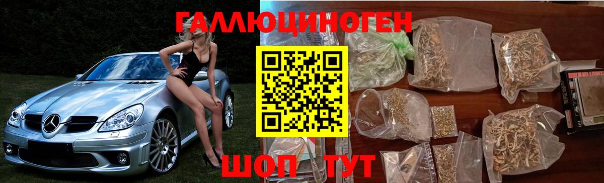 Тара  Псилоцибиновые грибы Cubensis  Галлюциногенные грибы Magic Shrooms  Вход с VPN 